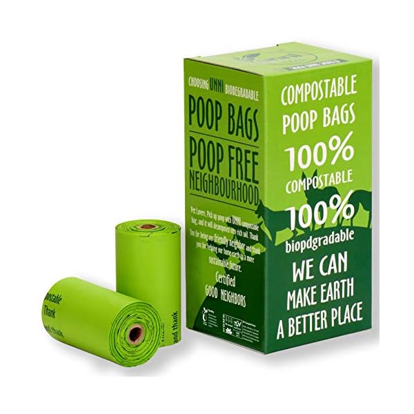 cat and jack pull on pants