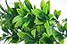 Artificial Plants,2Pcs Fake Plastic Rose Leaves Bushes Faux Shrubs Arrangements For Outdoor Indoor Home Garden Office Verandah Decor Green by Senjie