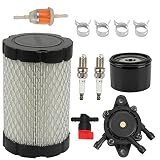 Butom MIU14395 Air Filter with Fuel Pump Fuel Filter for John Deere D100 D105 D110 D130 D140 D160 D170 D125 L105 L107 LA135 Lawn Mower Tractor Briggs & Stratton 796031 591334 594201