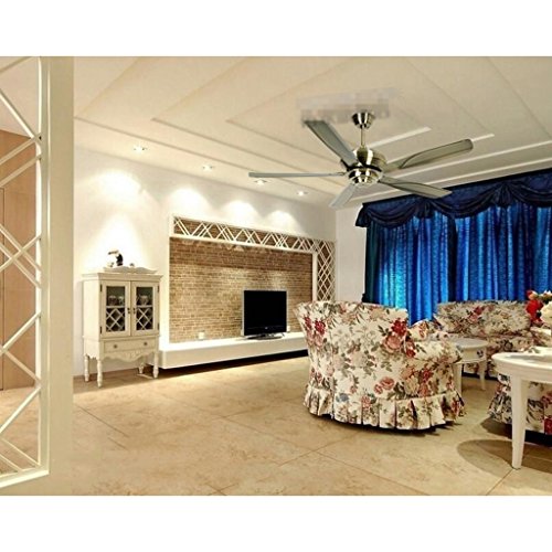 Liuyu Iron Leaf Antique Ceiling Fan Without Lights Simple And