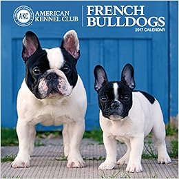 american bulldog kennel club