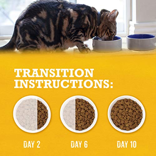 PURINA BEYOND NATURAL DRY CAT FOOD WHOLESOME INGREDIENTS FOR WHOLE HEALTH WHITE MEAT CHICKEN AND WHOLE OAT MEAL RECIPE – 3 LB. BAG