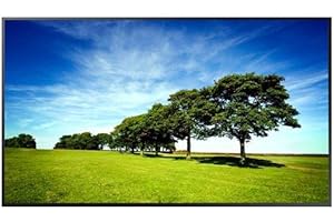 Samsung Electronics America QB55R-N LCD Display, Black