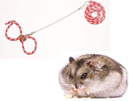 pet rat harness
