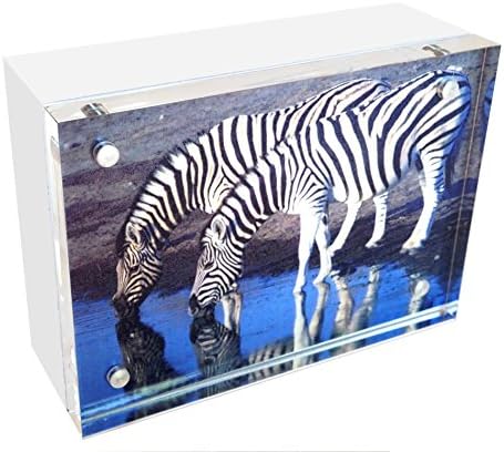 White Wood Back Magnet Frame by Canetti-4x6 inch