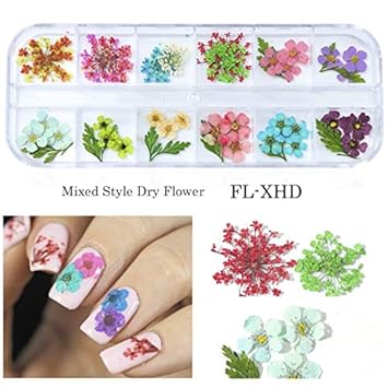 Amazon Com Gel Nail Dried Flowers Leaf Decoration Natural Floral
