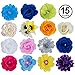 Barrettes for Girls - Flower Hair Clips for Women - 15 Pk Assorted Hair Accessory by CoverYourHair