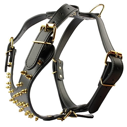 Berry Pet Black Leather with Golden Spikes Studded Medium & Large Dog Collar & Leash & Harness 3 Pcs Set for Pitbull Boxer, Black 17-20"