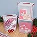 IRIS USA MLBH-290DD CLR/TR Cran 3PC Set Holiday Bow Box with Handle, 3 Pack, Clear/Red, 3 Pound