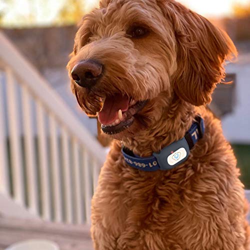 BARTUN GPS Pet Tracker, Cat Dog Tracking Device with Unlimited Range (Black)