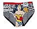 DC Comics Wonder Woman Comic Licensed Graphic Panties