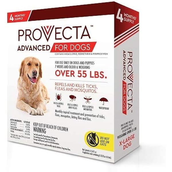 how much is 4 months in dog years