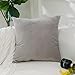 Home Brilliant Set of 2 Solid Square Ultra Soft Short Plush Velvet Accent Throw Pillow Sham Cushion Cover for Office Car Travel, 18 Inch(45cm), Light Grey