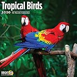 Tropical Birds Wall Calendar 2020 by 