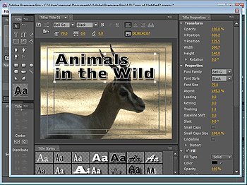 Adobe Premiere Premiere Pro CS4 Tutorial Training on 2 DVDs, 13 Hours in 152 Computer Software Video Lessons - Thumbnail 7