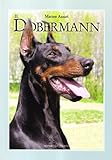 Image de Il dobermann
