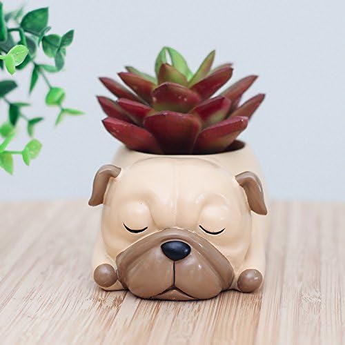 WISH HALLY WOOD Pug Succulent Planter Pots for Office House Balcony Landscape Creative Decorative Flower Pots (Pug)