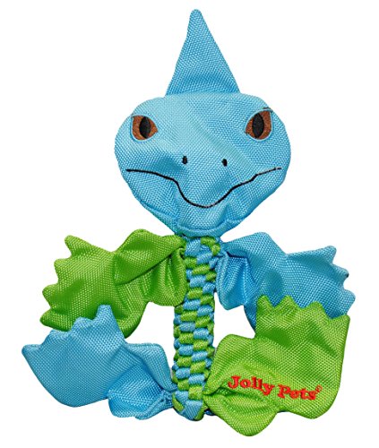 Jolly Pets Iguana Animal Flathead Tug/Squeak Toy, Small