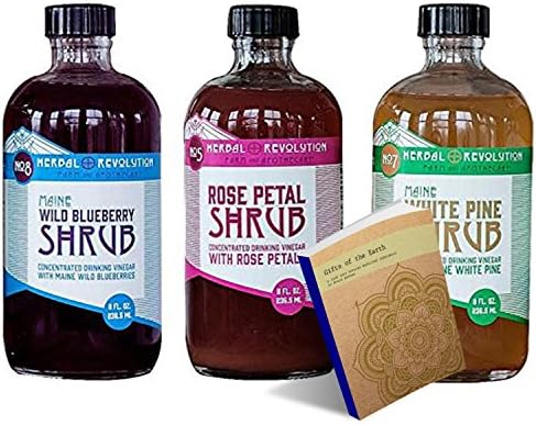 White Pine Blueberry & Rose Petals Shrub w/ Raw Apple Cider Vinegar Herb ea 8oz from Herbal Revolution Farm and Apothecary (White Spine, Blueberry & Rose Petal Shrub, 3 Pack)