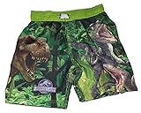 Jurassic World Boys Dinosaur Swim Trunks Shorts (Small 6/7)