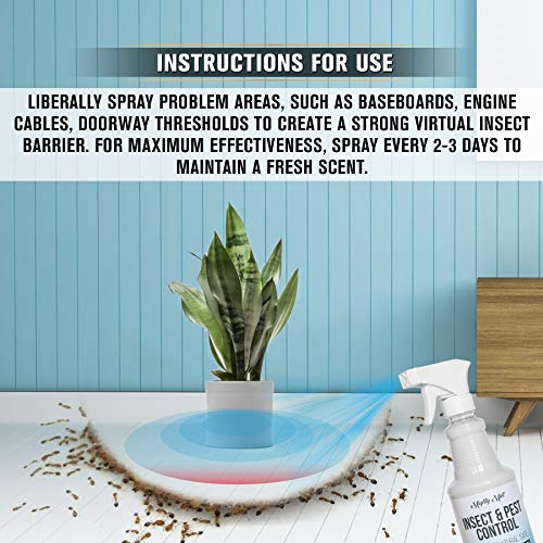 3 Mighty+Mint+Control+Peppermint+Natural