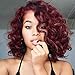 Mildiso Wigs for Black Women Short Curly Wig Afro Kinkys Curly Wigs African American Women wigs Red Wigs with Wig Cap M024