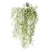 Miracliy 2.6FT Artificial Hanging Vine String Plant Garland Fake Flowers Greenery Plants for Home Garden Wall Decoration, Pack of 2 (White)