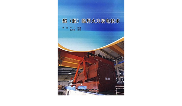 超 超 临界火力发电技术 张磊 叶飞 Amazon Com Books