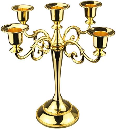 Viscacha 5Candle Metal Candelabra
