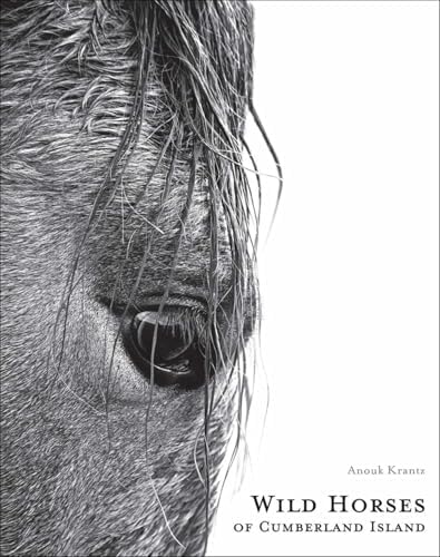 Amazon.com: Karen Kilimnik: Early Drawings 1976–1998 (Edition