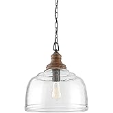 Capital Lighting 330318YG Julian Coastal Style Clear Organic Rippled Glass Dome Pendant, 1-Light 100 Watt, 16" H x 14" W, Gre