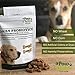 Paw Choice Probiotics for Dogs with Prebiotics - Daily Chews for Gut Health, Digestion, Regularity, and Immune Support - Natural Supplement Treat Made in USA