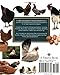 Mini Encyclopedia of Chicken Breeds and Care: A Color Directory of the Most Popular Breeds and Their Care