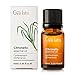 Citronella - 100% Pure Therapeutic Grade Essential Oil - 10ml - Gya Labs