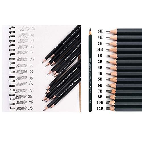 Sketching Pencil Set, DDream 14 Pcs Drawing Pencil Sketch Pencils Set for Artists Adults Children Include 12B 10B 8B 7B 6B 5B 4B 3B 2B B HB 2H 4H 6H Graphite Professional Sketch Pencils Set