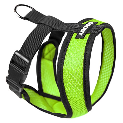 Gooby Choke Free X Frame Soft Harness with Micro Suede Trimming for Small Dogs, Medium, Green