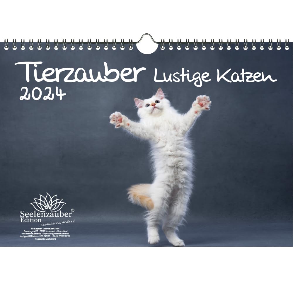 Animal Magic Funny Cats DIN A4 Calendar for 2024 Funny Moments with Cats Seelenzauber