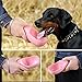 Pedy Dog Water Bottle for Walking or Outdoor Travel with Bowl Dispenser, Antibacterial Portable Leak Proof Pet Travel Water Drink Cup, Water Drinking Bottle 12 OZ