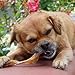 Nature Gnaws Tendons for Large Dogs - Premium Natural Beef Sticks - Simple Single Ingredient Tasty Dog Chew Treats - Rawhide Free - 7-11 Inch (6 Count)
