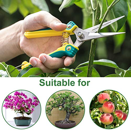 WYF 8.1″Gardening Hand Pruner Pruning Shear with Straight Stainless Steel Blades, Ultra Sharp Garden Scissors for Flowers, Harvesting Fruits & Vegetables,Trimming Plants (Green) - Thumbnail 6