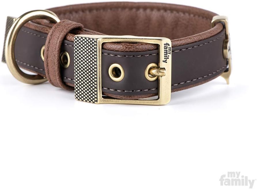 premium leather dog collars