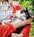 I and love and you Wet Cat Food - Chicky-Da-Lish Stew - Chicken Recipe, Grain Free, Filler Free, 3oz Pack of 24 Cans