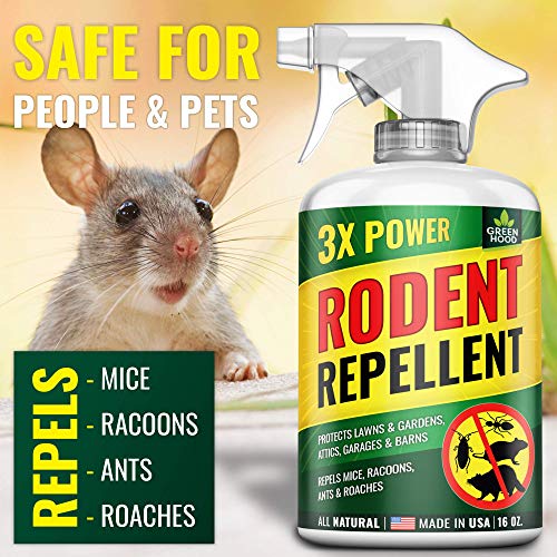 Rodent Reppellant 16 OZ - 3X POWER - Pest Repeller made in USA - Premium Rodent & Bug Guard - Raccoon, Mouse, Ant, Roach & Rat Repellant - Natural Rodent Repeller - Indoor & Outdoor Repellant Barrier - Thumbnail 2