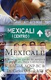 Mexicali: a mini-gem guide to surgery in Mexicali, Baja California (Hidden Gem) by K. Eckland, Joanna Calzada Algravez