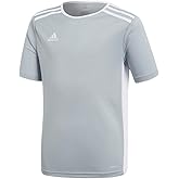 adidas Boys' Entrada 18 Jersey, Light Grey/White, X-Large