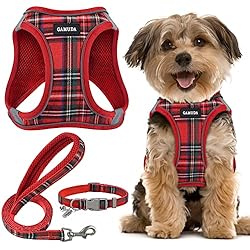 GAMUDA Small Pet Harness Collar and Leash Set, Step