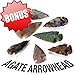 Best Rock Collection. Includes Huge Megalodon Shark Tooth, 2 Large Geodes and 3 LBS. (About 100 specimens) and Identification Chart.