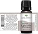 Plant Therapy Organic Rapid Relief Essential Oil Blend 10 mL (1/3 oz) 100% Pure, Undiluted, Natural Aromatherapy, Therapeutic Grade