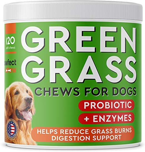 PetzLife Oral Care Gel Original 12oz by PetzLife Products Inc