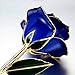 Long Stem Blue Rose Flower With Thorns Dipped in 24k Gold and Last Forever, Love To Her Packing Box (Blue)